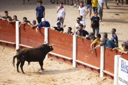 Imagen del encierro y la capea en Peñafiel