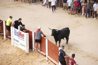 Imagen del encierro y la capea en Peñafiel