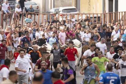 Imagen del encierro y la capea en Peñafiel