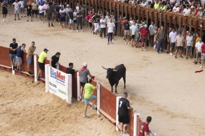 Imagen del encierro y la capea en Peñafiel