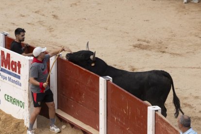 Imagen del encierro y la capea en Peñafiel