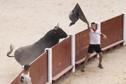 Imagen del encierro y la capea en Peñafiel