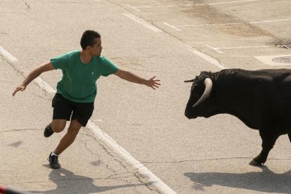 Imagen del quinto encierro de Rueda