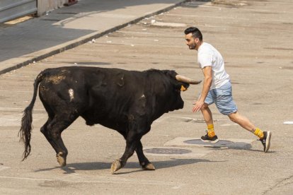 Imagen del quinto encierro de Rueda