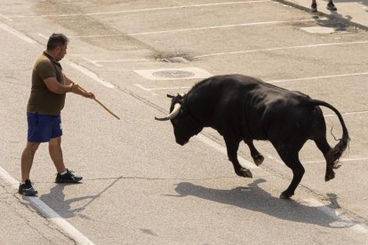 Imagen del quinto encierro de Rueda
