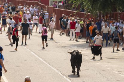 Imagen del quinto encierro de Rueda