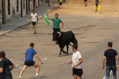 Imagen del quinto encierro de Rueda