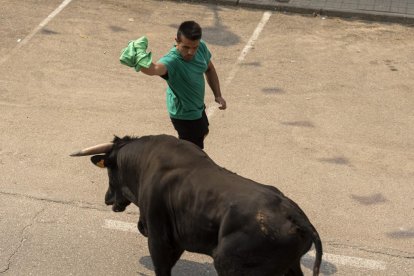 Imagen del quinto encierro de Rueda