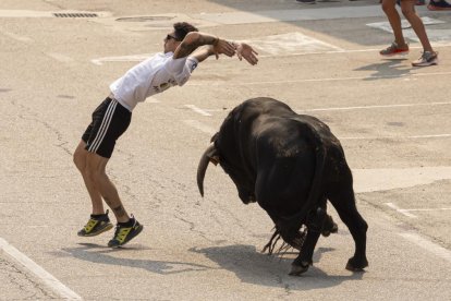 Imagen del quinto encierro de Rueda