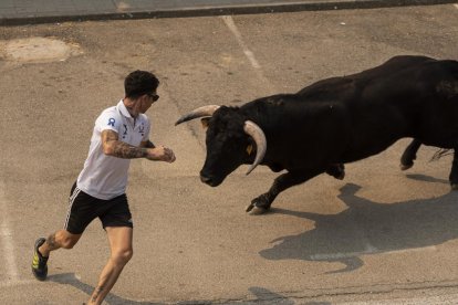 Imagen del quinto encierro de Rueda
