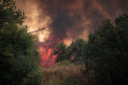 El incendio de Almanza amenaza varias pedanías
.