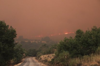 Vecinos y personal forestal de Busnadiego y Piedras Albas (Lucillo, León) se afanan intentando parar el incendio.