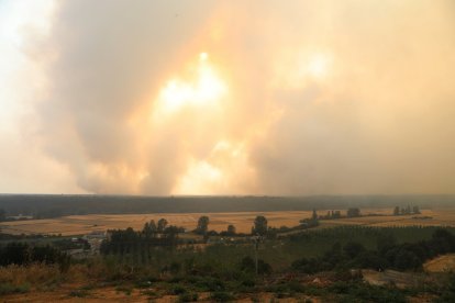 Incendio en el norte de Palencia.