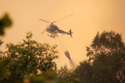 Incendio en Fasgar (León).