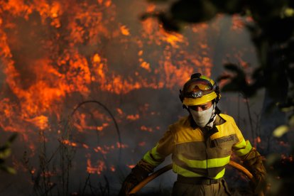 Incendio forestal en El Payo (Salamanca) en nivel 2.