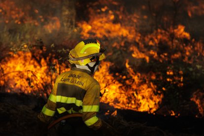 Incendio forestal en El Payo (Salamanca) en nivel 2.