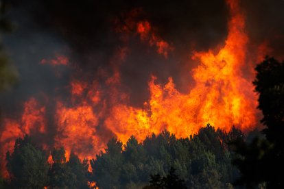 Incendio forestal en El Payo (Salamanca) en nivel 2.