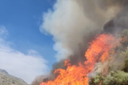Incendio en la Sierra de Béjar cerca de Candelario