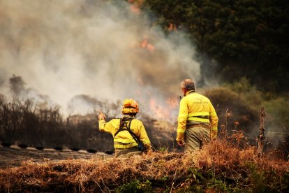 El incendio de Fasgar amenaza a las poblaciones de Villapujín, Barrio de la Puente y Posada de Omaña