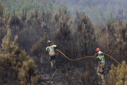 Incendio en Abejera y Ríofrio de Aliste