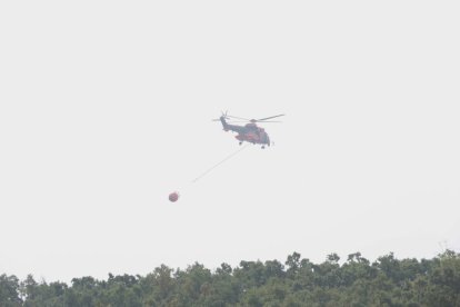 Incendio de Porto en Sanabria.