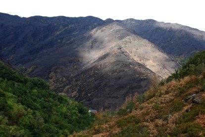 Efectos del incendio que ha afectado al municipio de Oencia (León).
