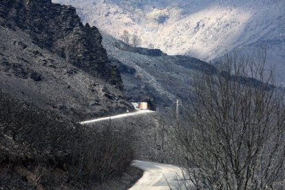 Efectos del incendio que ha afectado al municipio de Oencia (León).