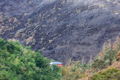 Efectos del incendio que ha afectado al municipio de Oencia (León).