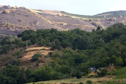 Efectos del incendio que ha afectado al municipio de Oencia (León).