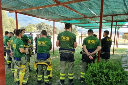 Bomberos forestales BRIF