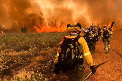 Bomberos forestales BRIF