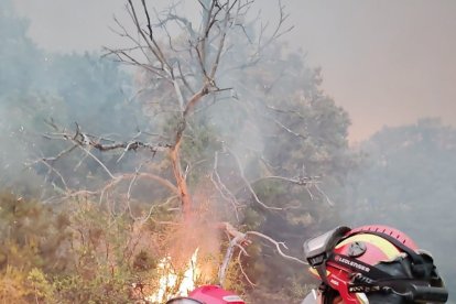 Trabajos de la UME en el incendio de Porto/Sanabria.