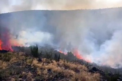 Trabajo conjunto ante la reproducción del incendio de Anllares en León