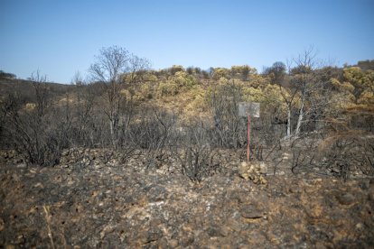 Zona calcinada de Las Médulas
