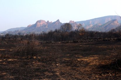 Efectos del incendio iniciado en la localidad de Yeres (León), y que ha afectado al paraje de Las Médulas.