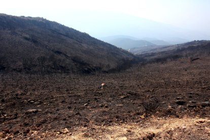 Efectos del incendio iniciado en la localidad de Yeres (León), y que ha afectado al paraje de Las Médulas.