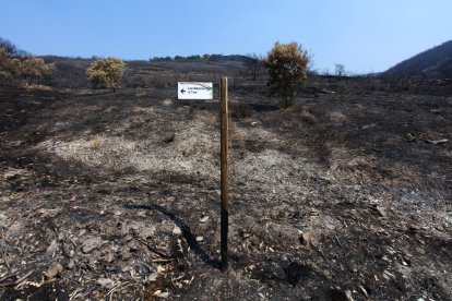 Efectos del incendio iniciado en la localidad de Yeres (León), y que ha afectado al paraje de Las Médulas.