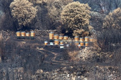 Efectos del incendio iniciado en la localidad de Yeres (León), y que ha afectado al paraje de Las Médulas.