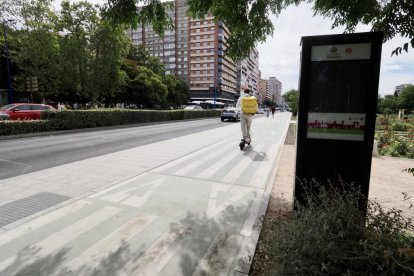 Carril bici de Isabel la Católica a la altura de la Rosaleda