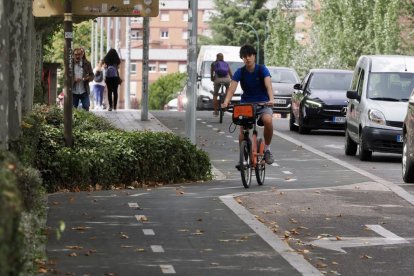 Carril bici de Isabel la Católica a la altura de la Rosaleda