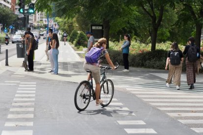 Carril bici de Isabel la Católica a la altura de la Rosaleda