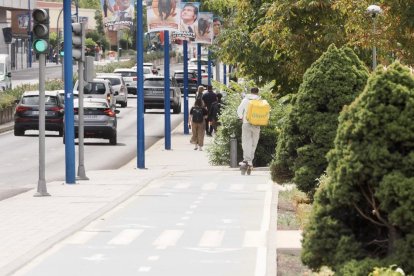Carril bici de Isabel la Católica a la altura de la Rosaleda