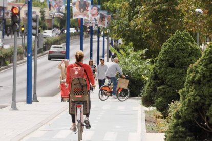 Carril bici de Isabel la Católica a la altura de la Rosaleda