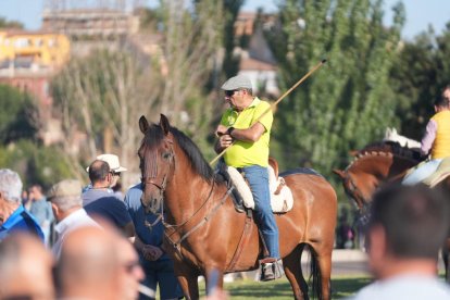 Torneo del Toro De la Vega 2025 en Tordesillas