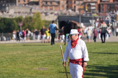 Torneo del Toro De la Vega 2025 en Tordesillas