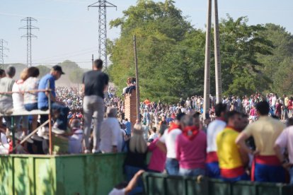 Torneo del Toro De la Vega 2025 en Tordesillas