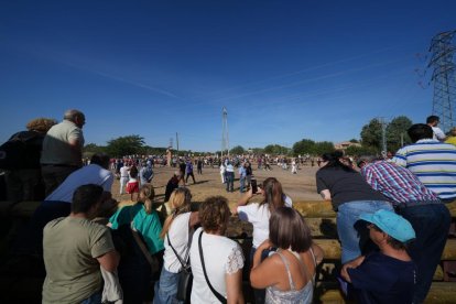 Torneo del Toro De la Vega 2025 en Tordesillas
