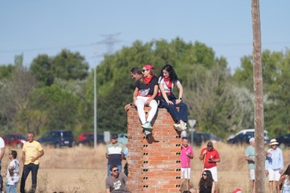 Torneo del Toro De la Vega 2025 en Tordesillas