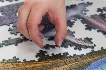 Final del concurso mundial de puzzles en Valladolid