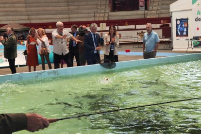 I feria de la Pesca celebrada en Arroyo de la Encomienda